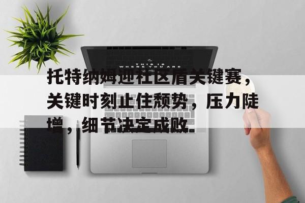 kaiyun-关于托特纳姆迎社区盾关键赛，关键时刻止住颓势，压力陡增，细节决定成败的信息